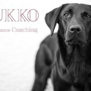 Dukko Performance Coaching